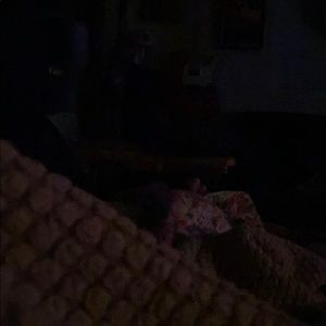 Meet your Posher, Jude